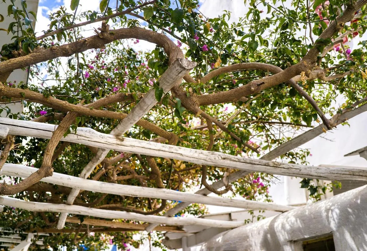 K&K Residence @Mykonos Town Grekland